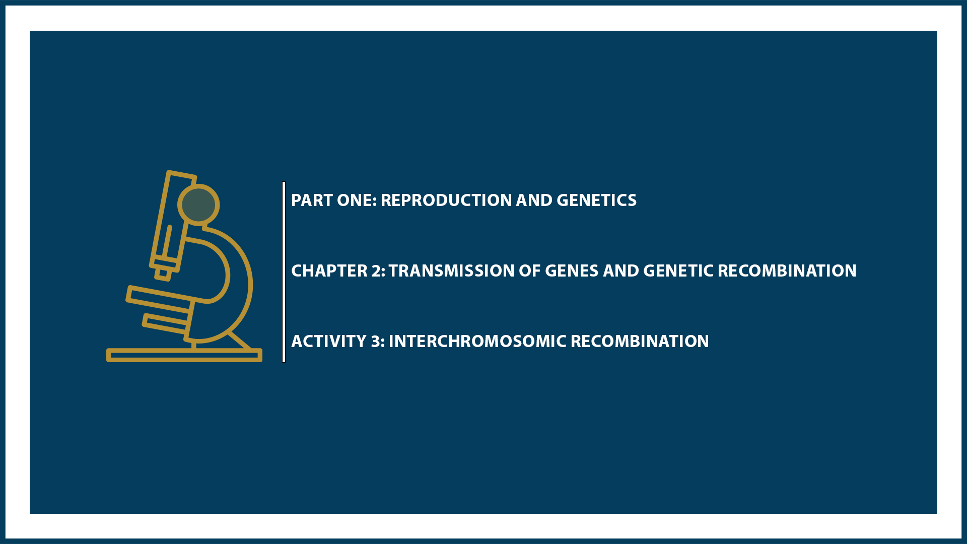 Chapter 2 - (Suspended part) Document 3: Interchromosomic recombination